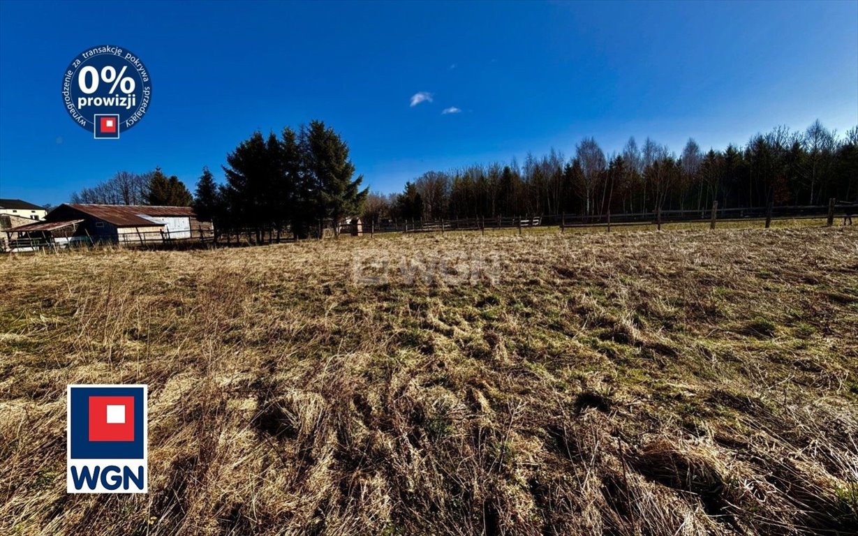 Działka budowlana 5000 m2 w Lulemino – spokój i bliskość miasta Lulemino, Lulemino  5 000m2 Foto 1