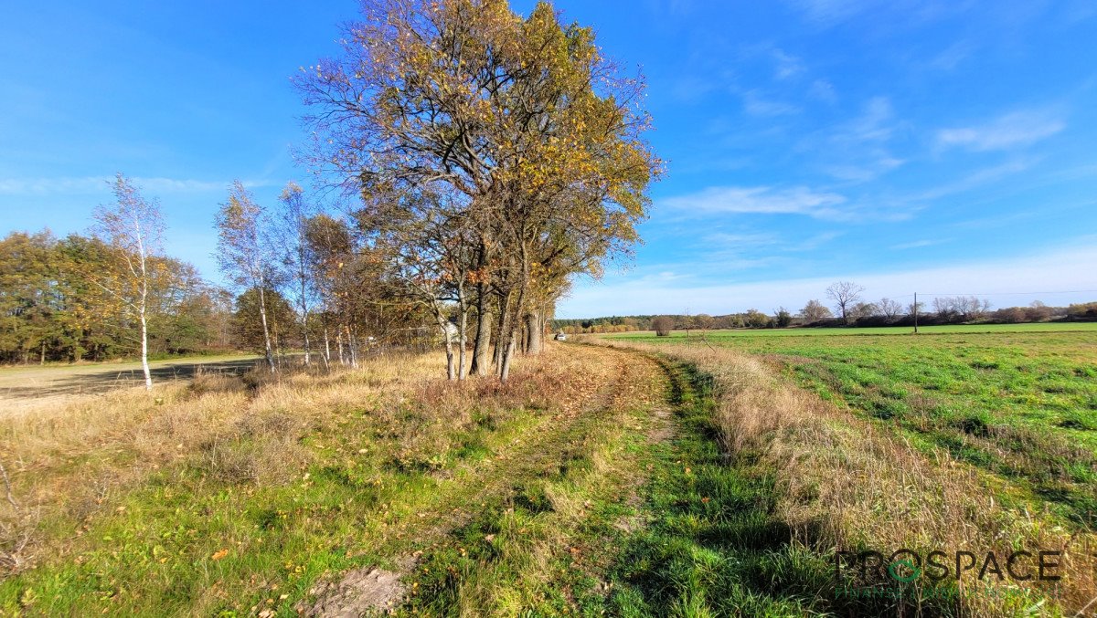Działka budowlana na sprzedaż Kożuchów  1 600m2 Foto 1