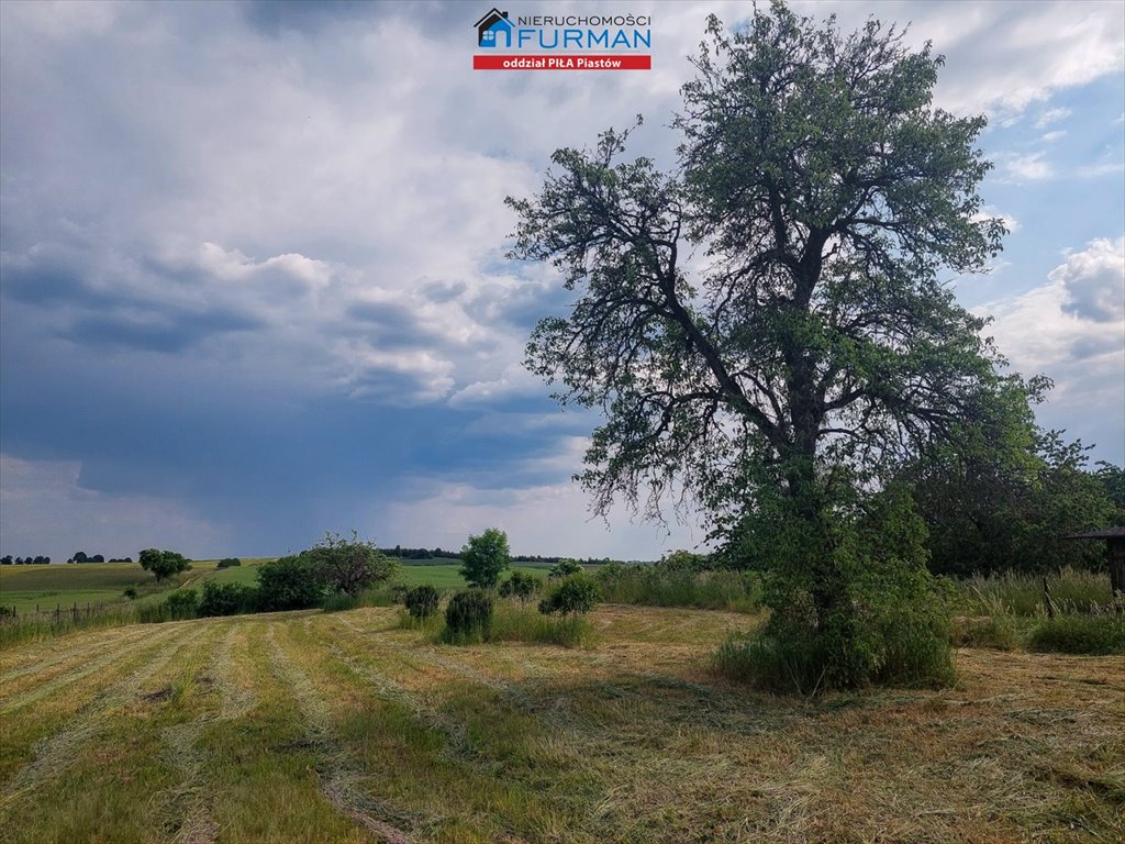 Działka budowlana na sprzedaż Ługi Wałeckie  8 200m2 Foto 15