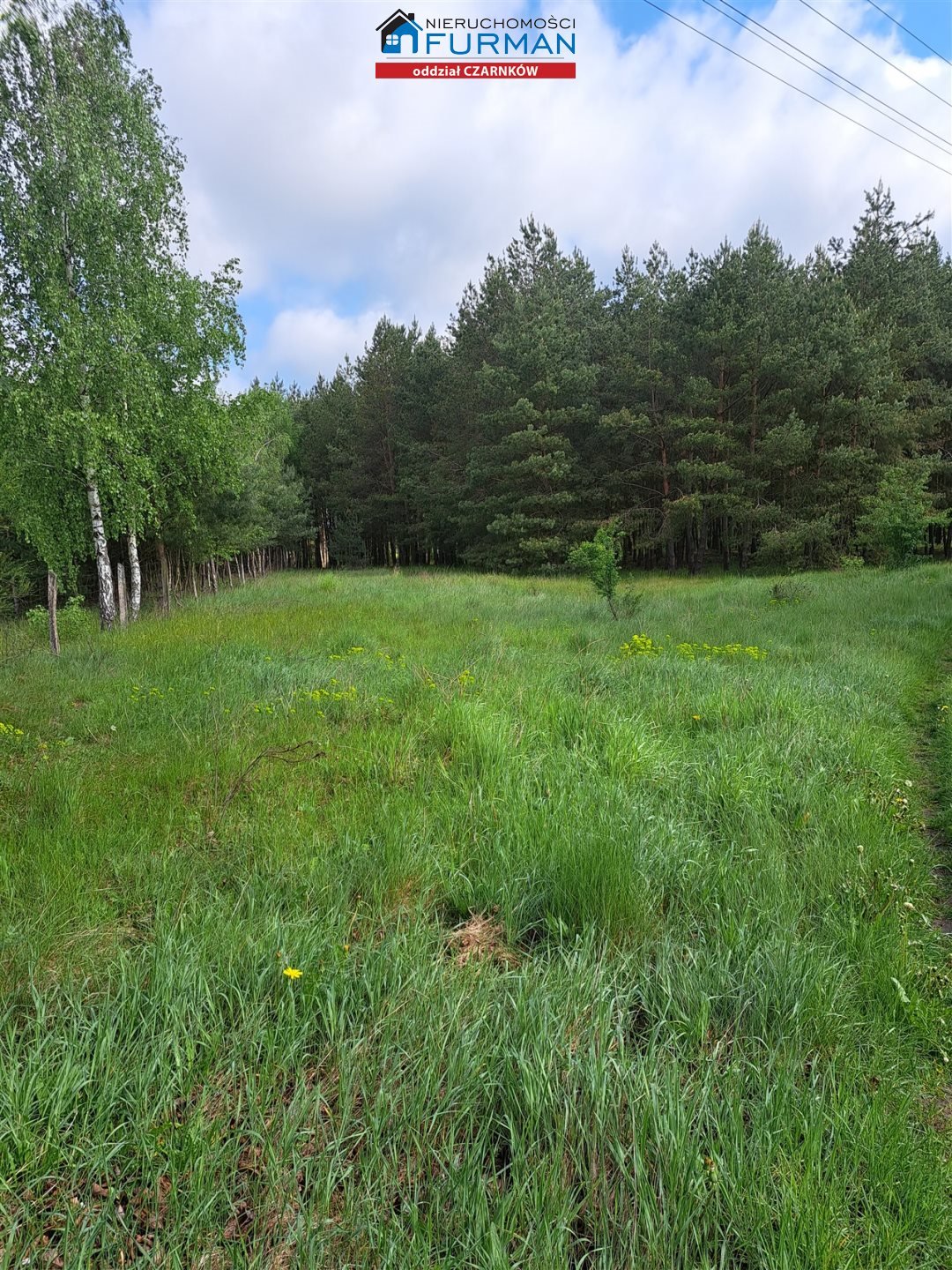 Działka 3 022 m² w Puszczy Noteckiej – idealna pod siedlisko Antoniewo  3 022m2 Foto 1