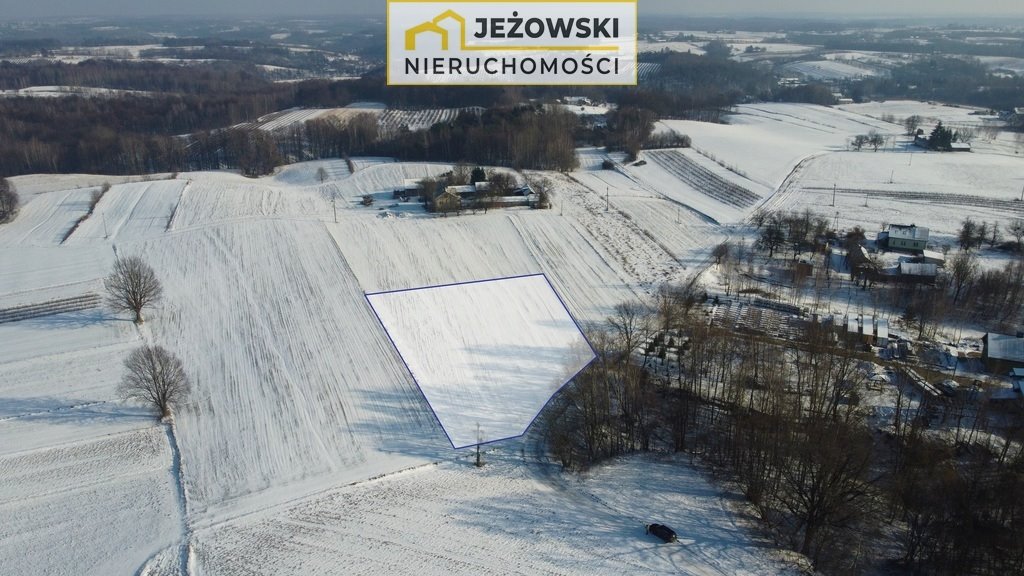 Działka rolna na sprzedaż Wierzchoniów  4 400m2 Foto 5