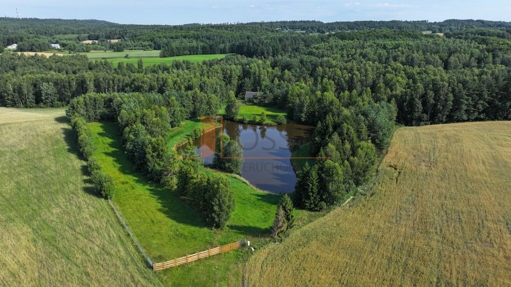 Działka siedliskowa na sprzedaż Grabowska Huta  16 780m2 Foto 3