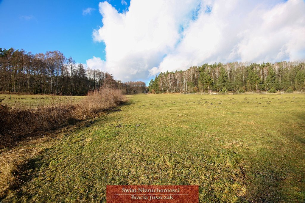 Działka budowlana na sprzedaż Weronikopole  3 700m2 Foto 1