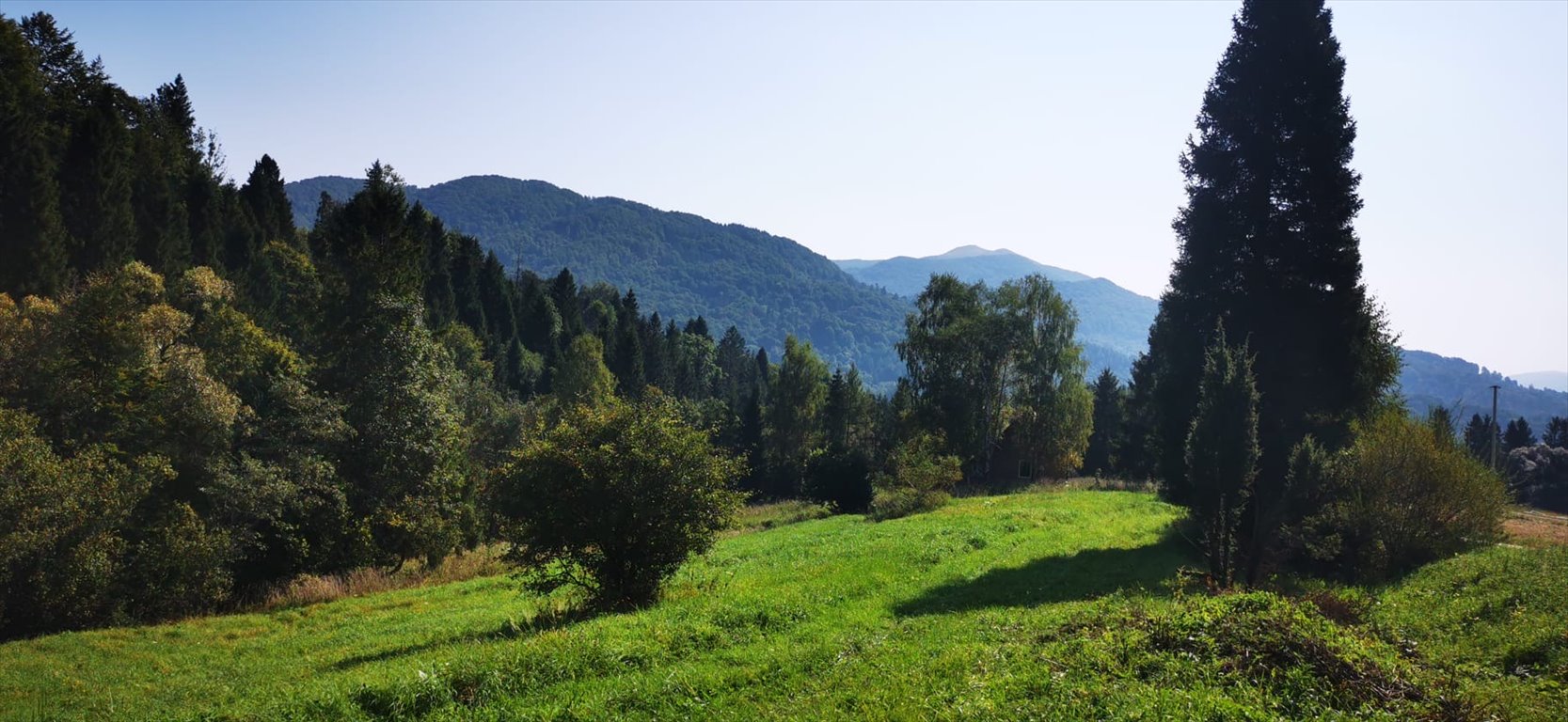 Działka budowlana na sprzedaż Kalnica  5 000m2 Foto 10