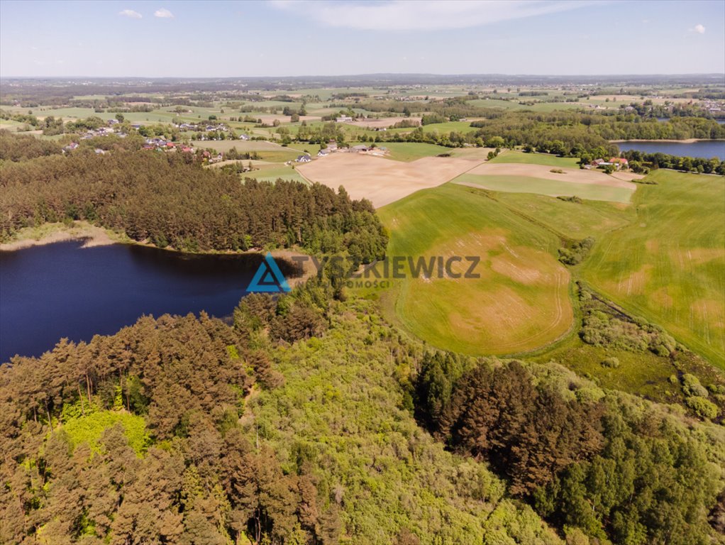 Działka rekreacyjna na sprzedaż Sarnowy  4 500m2 Foto 10