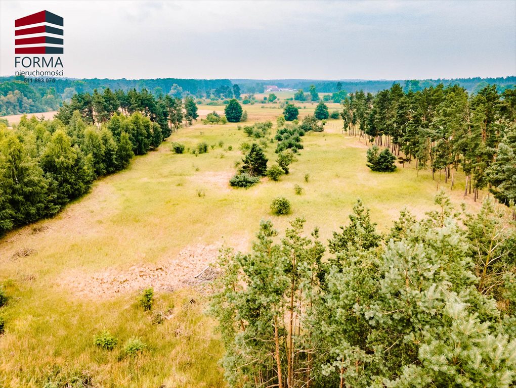 Działka leśna na sprzedaż Pięczkowo, Pięczkowo, sportowa 212/1  35 280m2 Foto 11