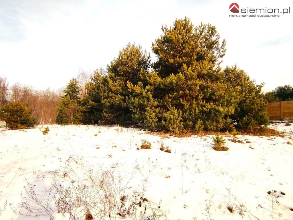 Działka budowlana na sprzedaż Myszkowice, Leśna  1 175m2 Foto 3