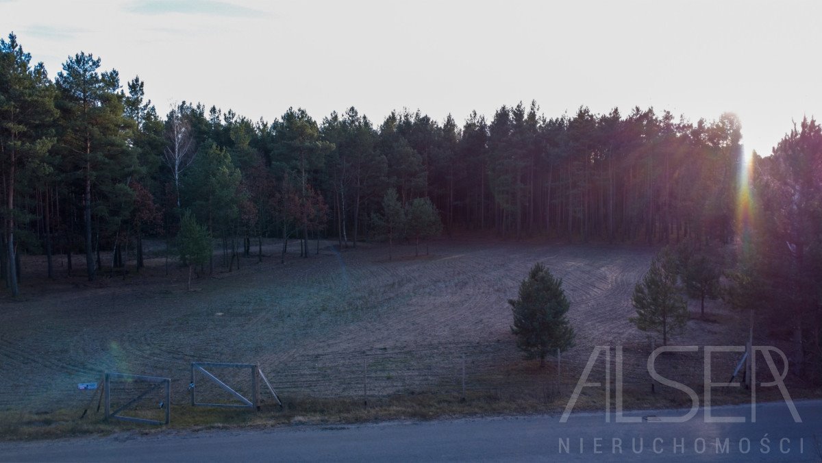 Działka budowlana na sprzedaż Prabuty  7 770m2 Foto 11