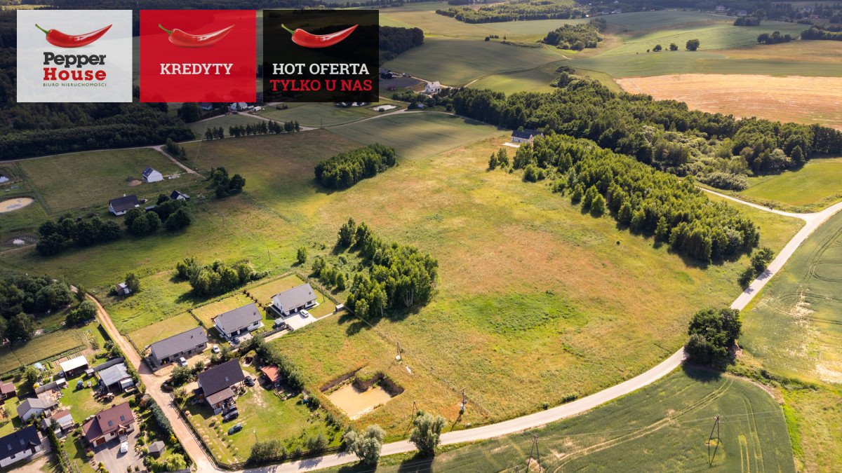 Do sprzedania działka 13 518 m² z potencjałem inwestycyjnym Lisewiec, Żuławska  13 518m2 Foto 1