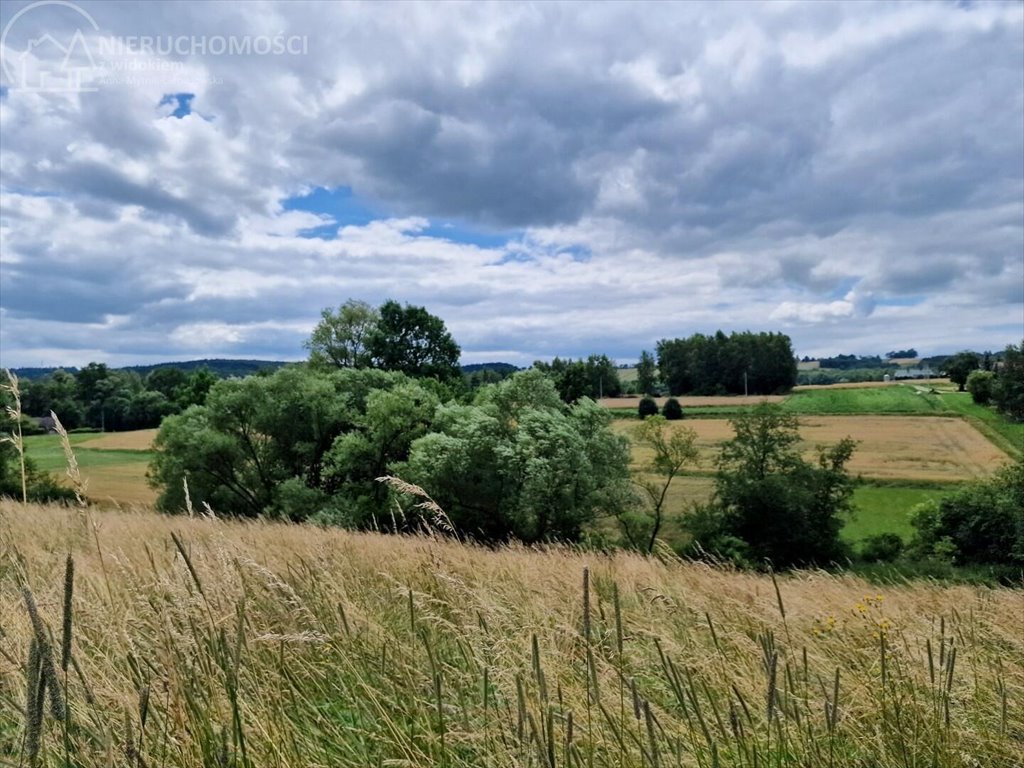 Działka budowlana na sprzedaż Sitnica  10 602m2 Foto 7