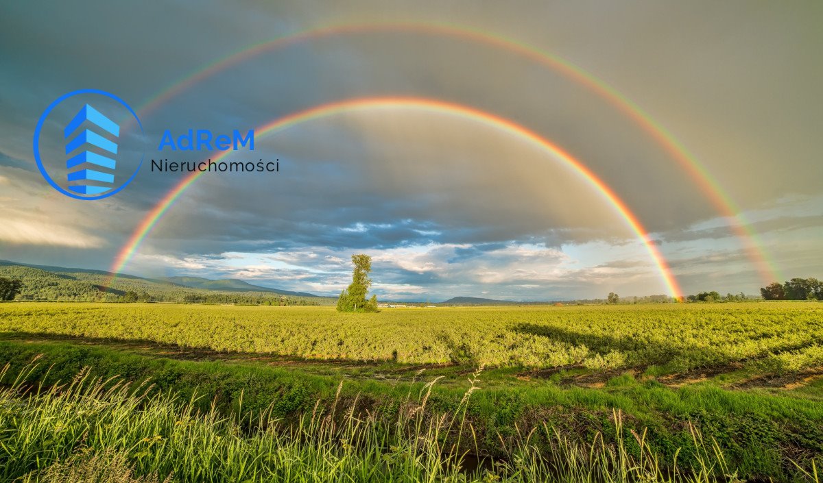 Działka rolna na sprzedaż Henrykowo  42 400m2 Foto 2