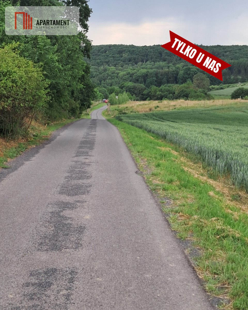 Działka budowlana na sprzedaż Myślinów  3 000m2 Foto 7