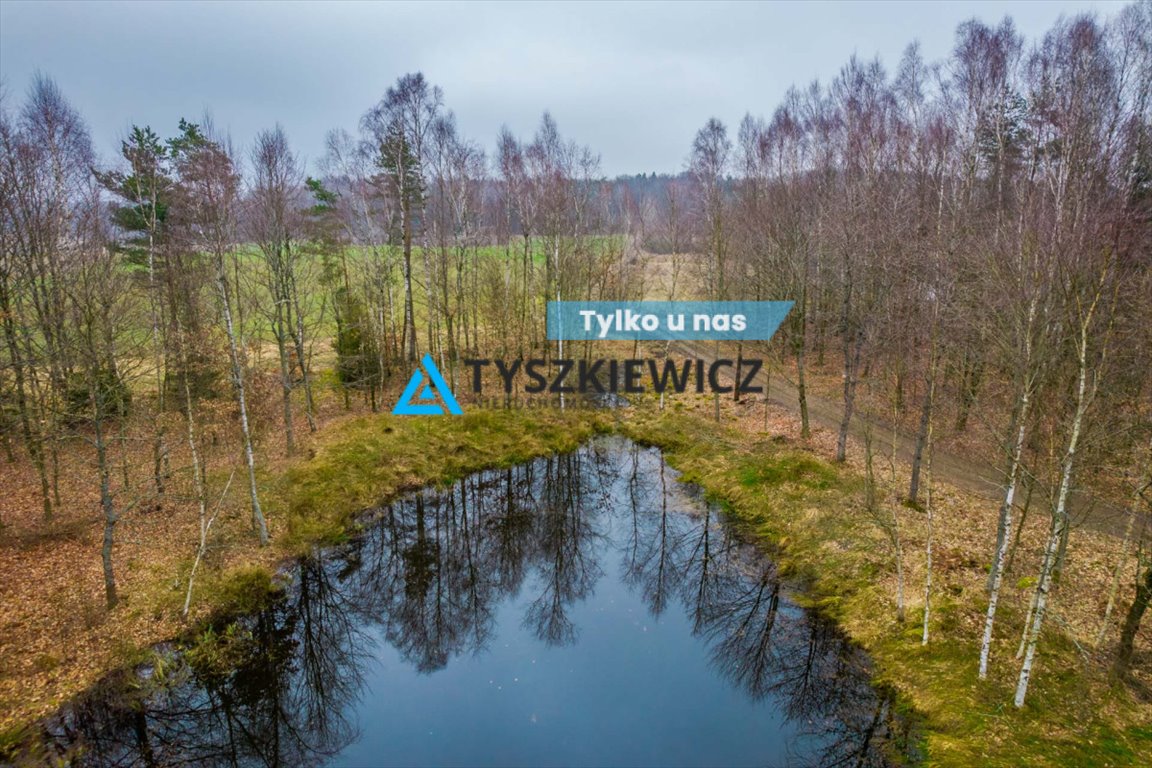 Urokliwa działka z stawem w Kołtkach – prywatność i natura Kołtki  5 978m2 Foto 1