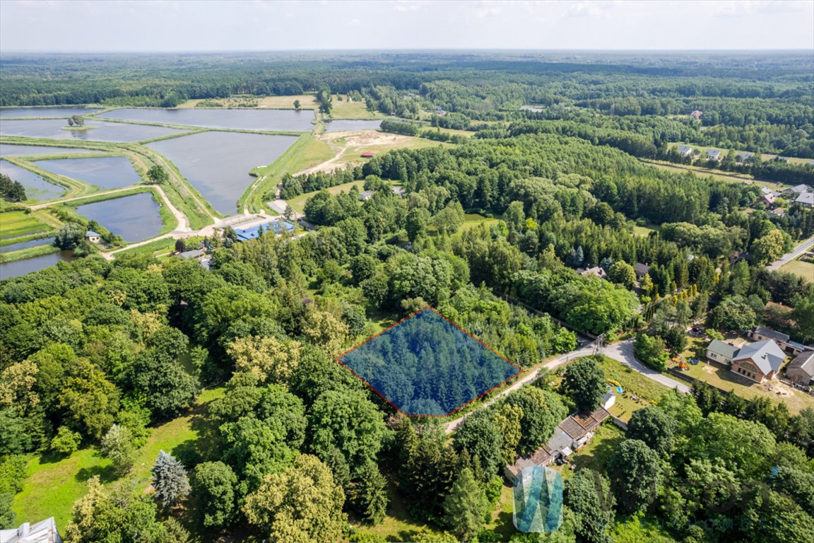 Działka budowlana na sprzedaż Grzegorzewice, Macierzanki  2 200m2 Foto 4