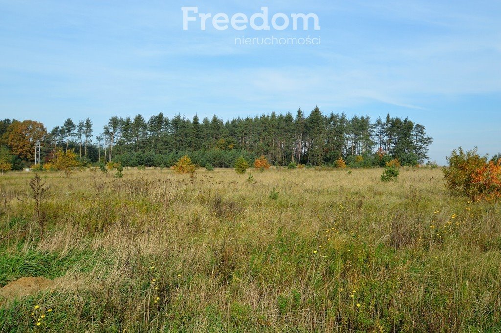 Działka budowlana na sprzedaż Siedliska  914m2 Foto 1