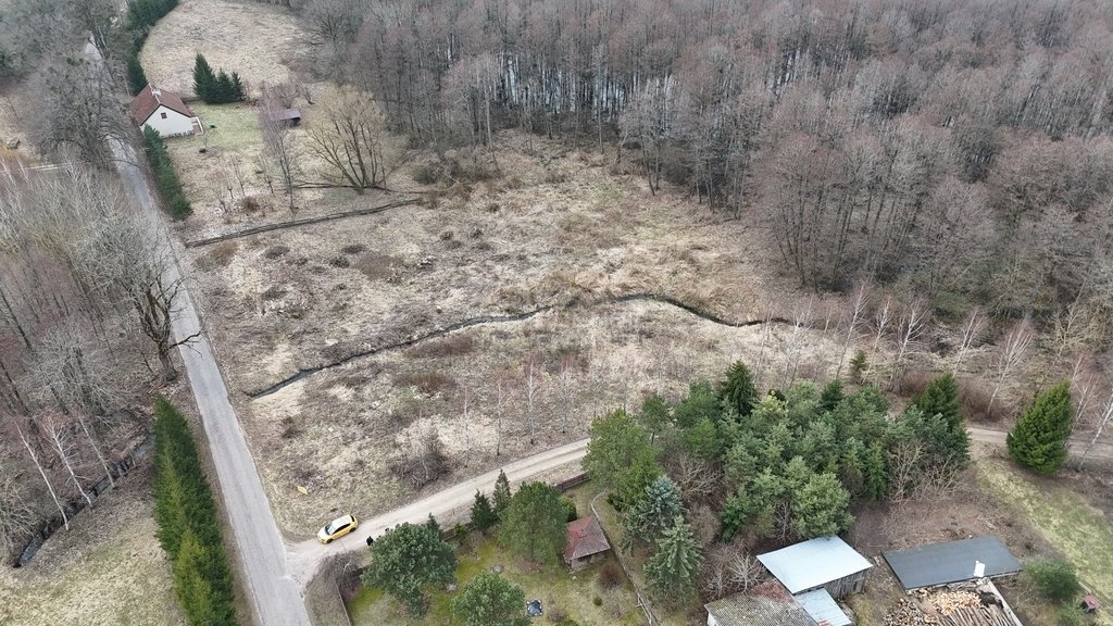 Działka rolna na sprzedaż Rogojny  3 000m2 Foto 8