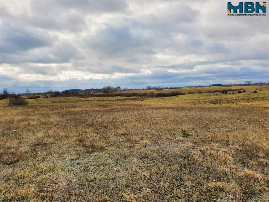 Działka rolna na sprzedaż Tuchlin, Tuchlin  65 579m2 Foto 8