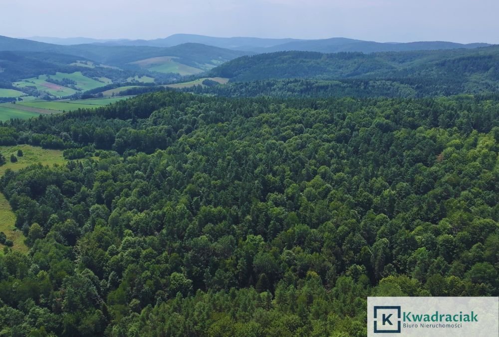 Działka leśna na sprzedaż Łukowe  19 327m2 Foto 8