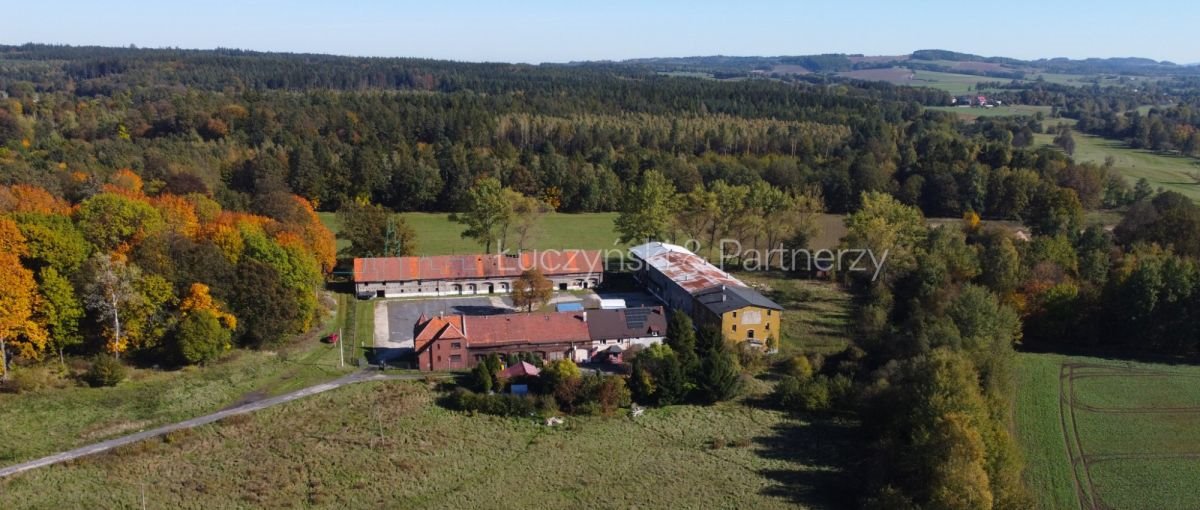 Działka przemysłowo-handlowa na sprzedaż Ubocze  42 800m2 Foto 1