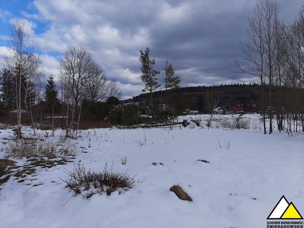 Działka budowlana na sprzedaż Świeradów-Zdrój, Nadrzeczna  10 919m2 Foto 8