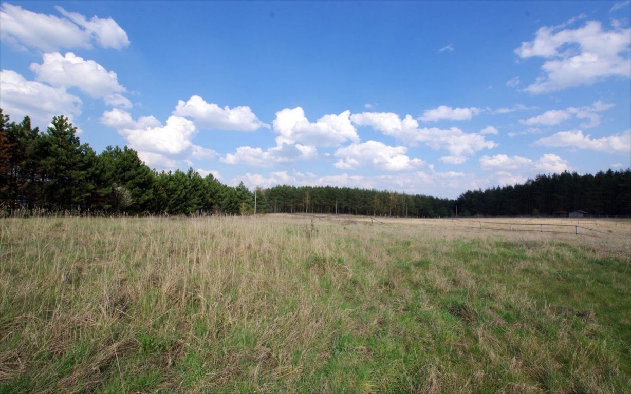 Działka budowlana na sprzedaż Chobienia, CHOBIENIA  1 002m2 Foto 1