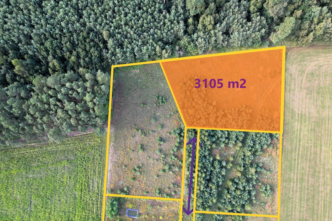 Działka pod agroturystykę w Sarbii, 3105 m², cicha okolica Sarbia  3 105m2 Foto 1