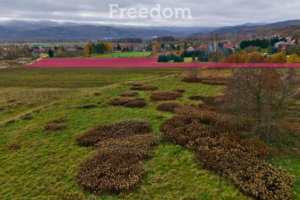 Działka budowlana na sprzedaż Wojcieszyce, Jeleniogórska  4 000m2 Foto 5