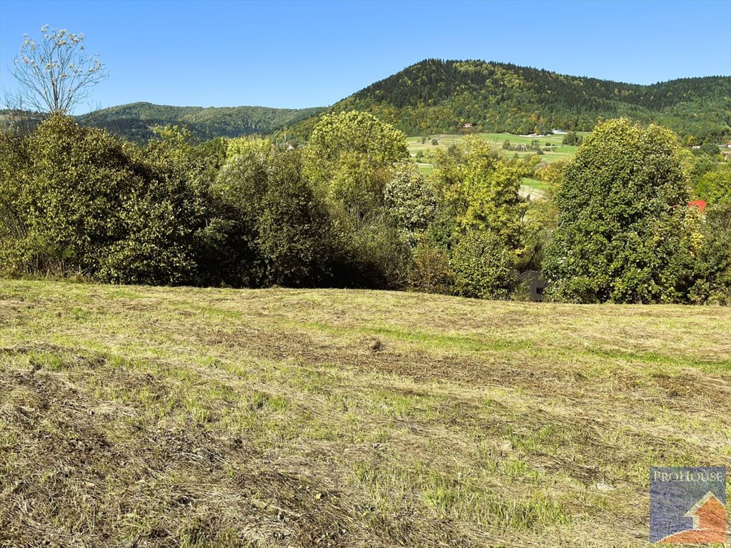 Działka budowlana na sprzedaż Pisarzowa  4 873m2 Foto 1