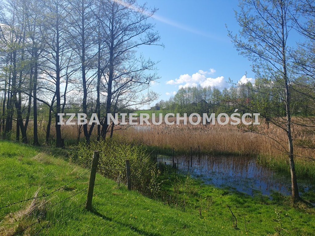 Działka rekreacyjna na sprzedaż Grabnik  3 000m2 Foto 5