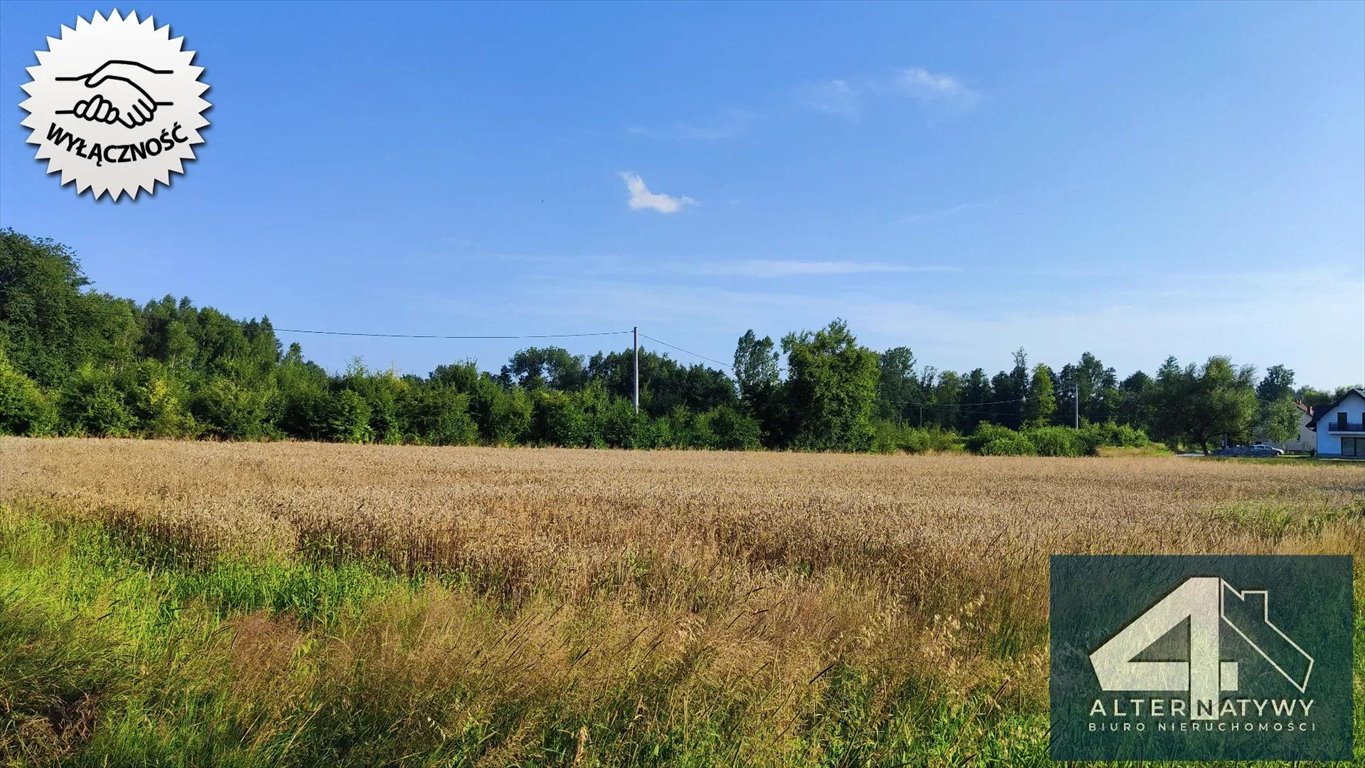 Działka budowlana na sprzedaż Szarwark  1 900m2 Foto 4