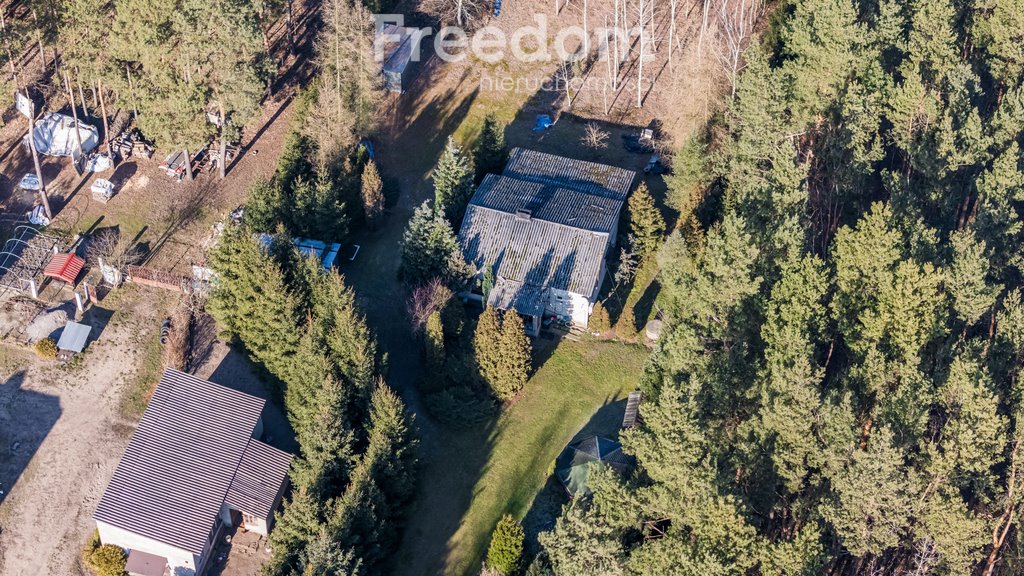 Dom na sprzedaż Nowe Grobice, Świerkowa  3 523m2 Foto 1