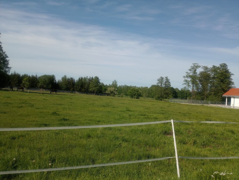 Działka budowlana na sprzedaż Budziska  1 700m2 Foto 4