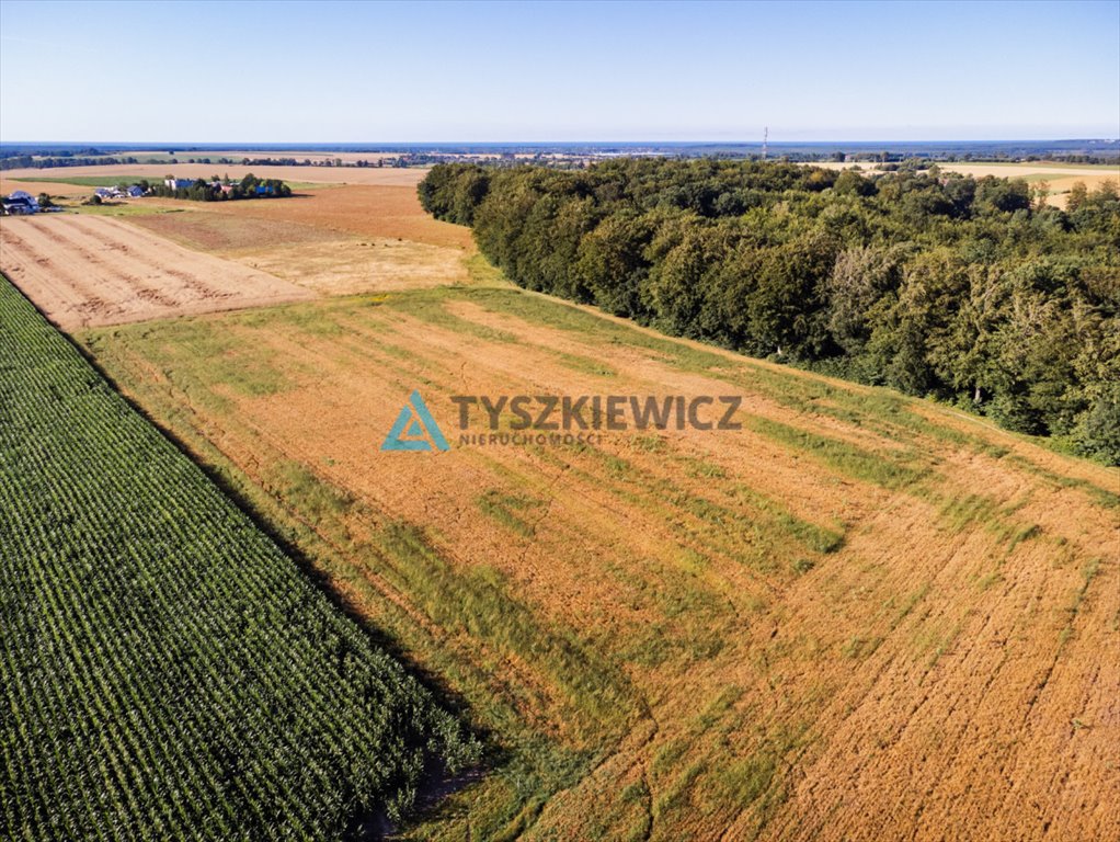 Działka rolna na sprzedaż Lisewo, Leśna  3 032m2 Foto 9