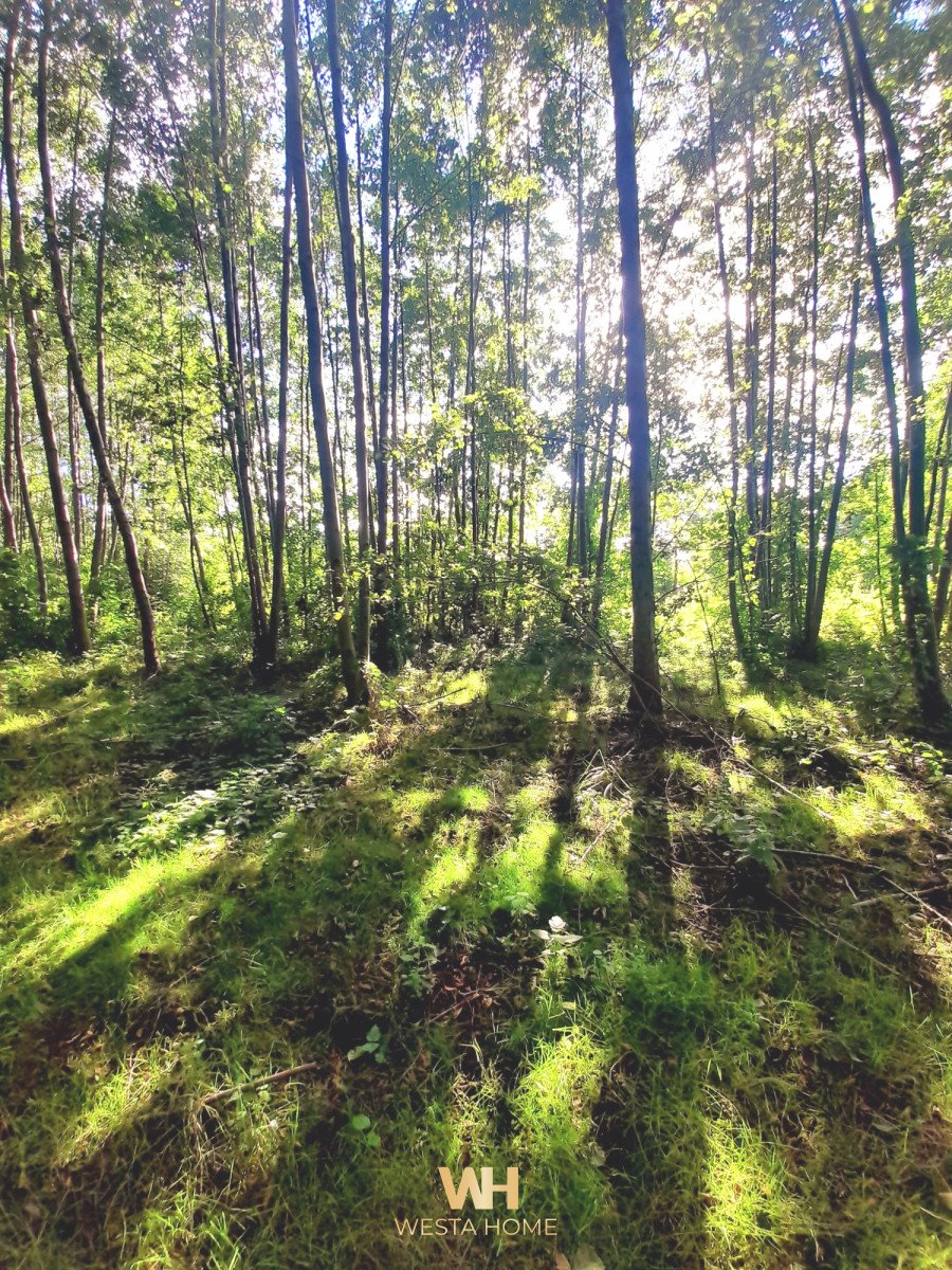 Działka budowlana na sprzedaż Kania Nowa  3 599m2 Foto 4