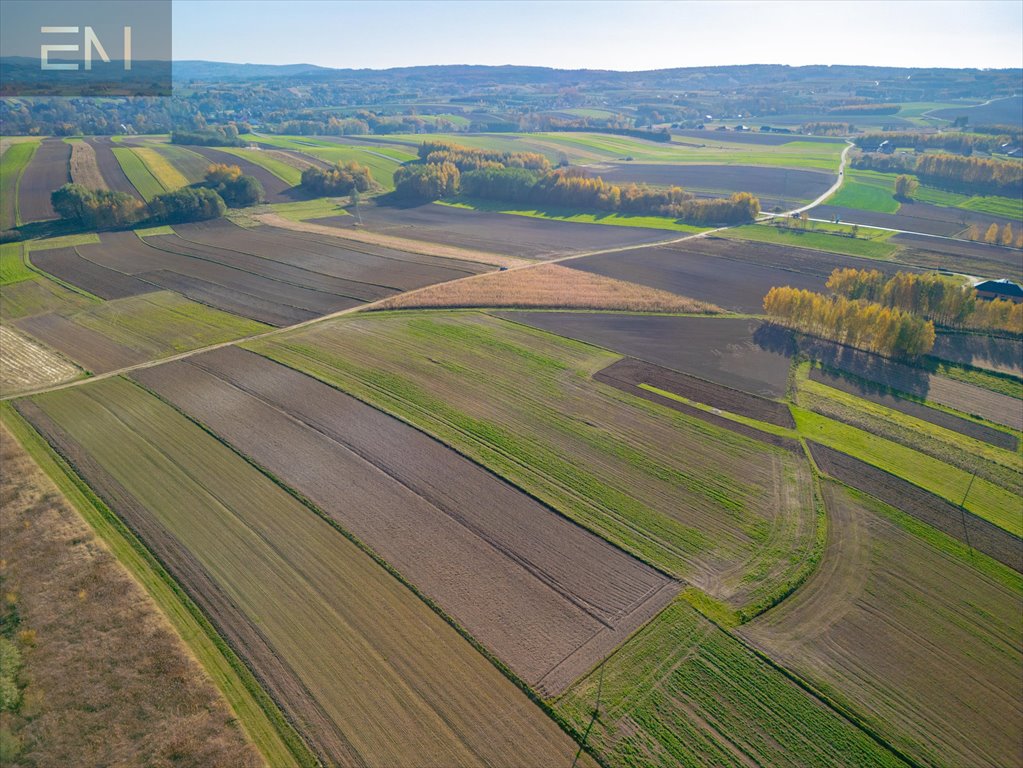 Działka rolna na sprzedaż Zgłobień  6 100m2 Foto 7