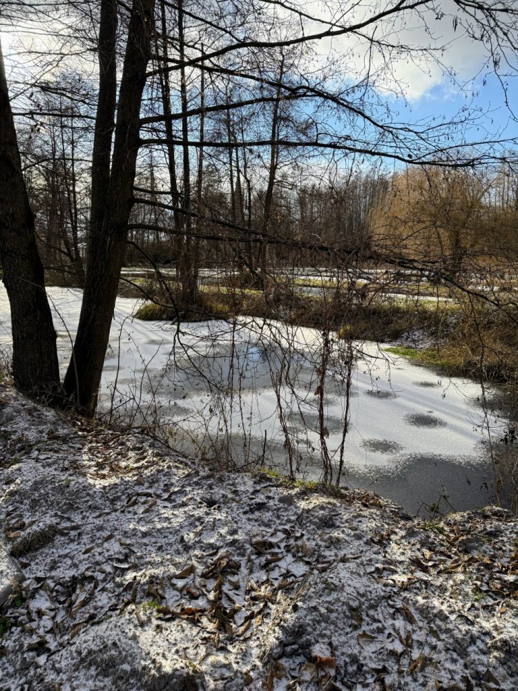 Dom na sprzedaż Gościeradów  80m2 Foto 3