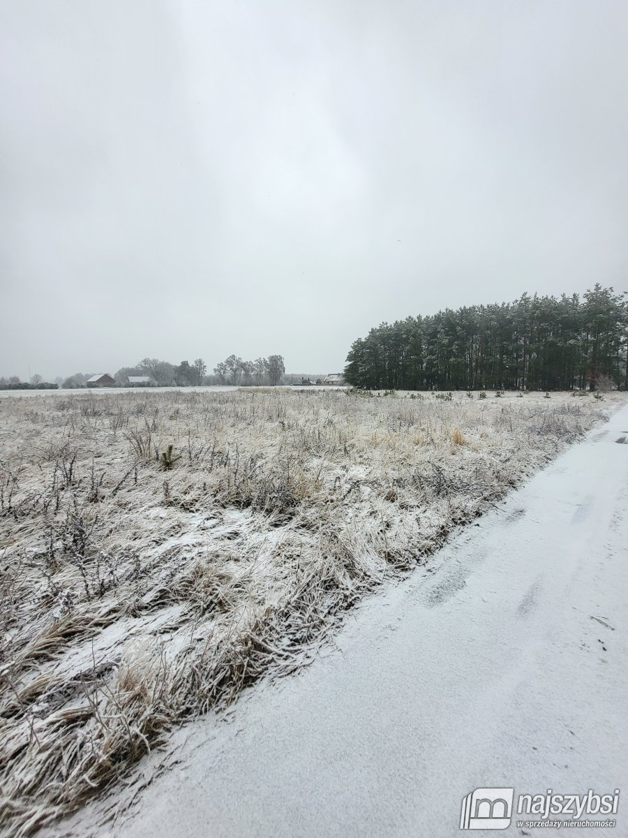 Działka budowlana 3003 m² w Czermnicy – idealna pod dom! Czermnica  3 003m2 Foto 1