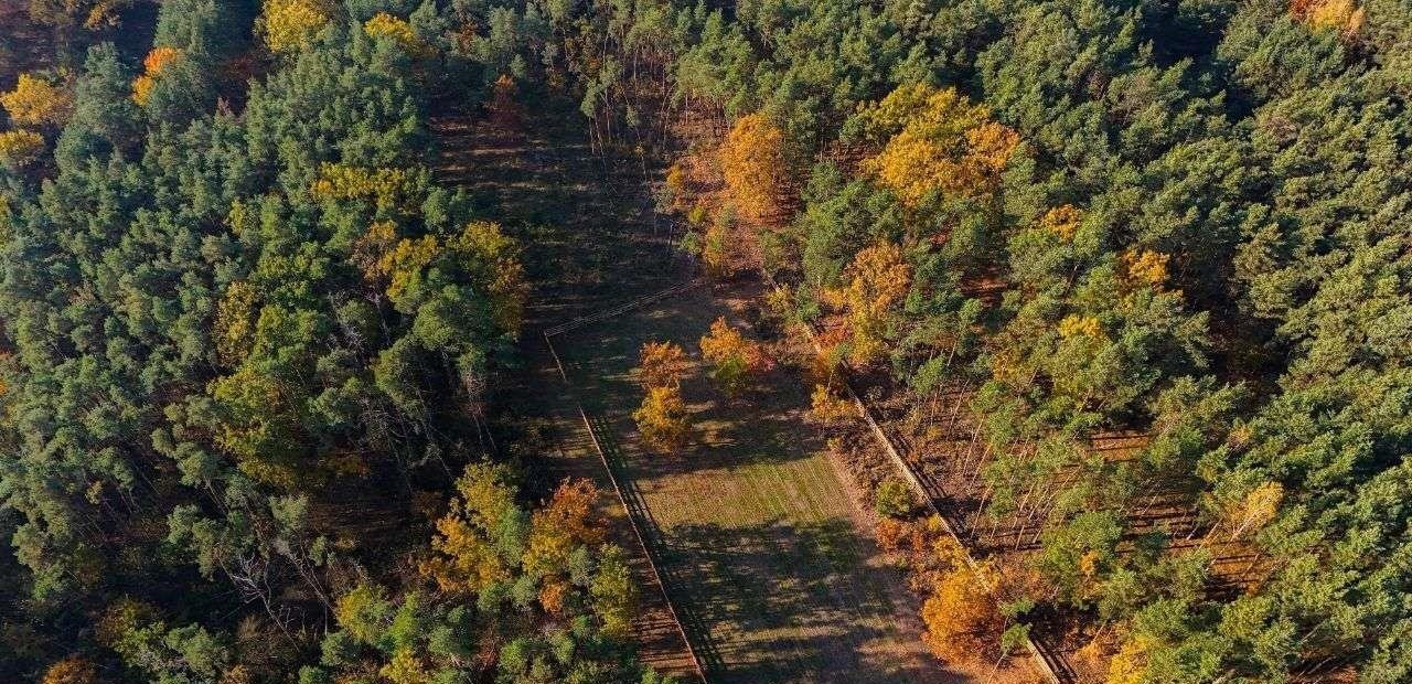 Działka budowlana na sprzedaż Ostrołęka  1 500m2 Foto 9