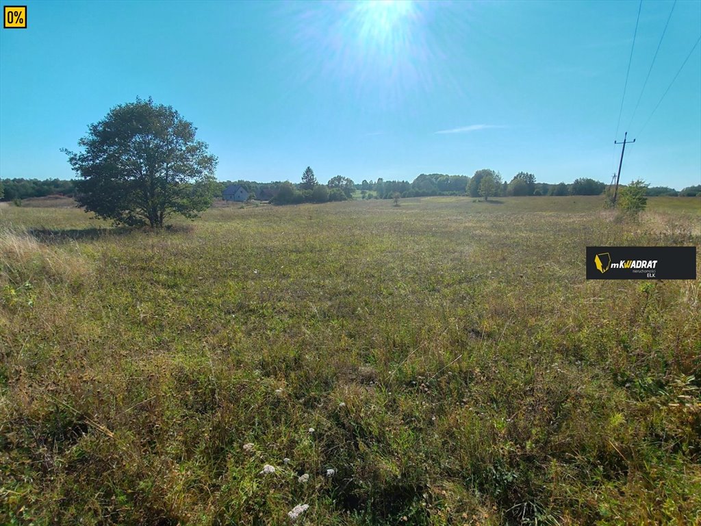 Działka inna na sprzedaż Rękusy  1 000m2 Foto 5