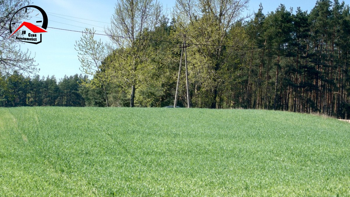 Działka gospodarstwo rolne na sprzedaż Kozjaty  8 000m2 Foto 4