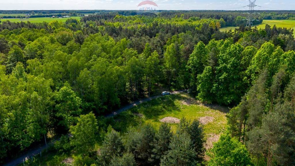 Działka rolna na sprzedaż Suchowizna  3 100m2 Foto 12