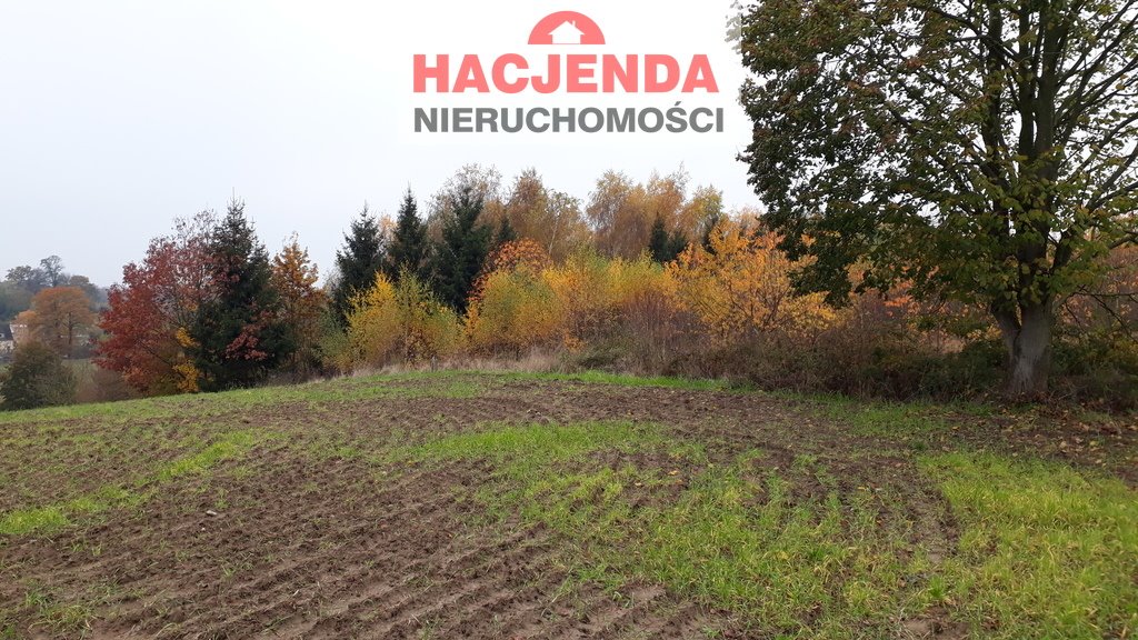 Działka rolna 14 678 m² z warunkami zabudowy, media przy drodze Danowo  14 678m2 Foto 1