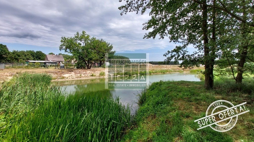 Działka z stawem i mediami, cisza, las, Odra, 4315 m2 Pomorsko  4 315m2 Foto 1