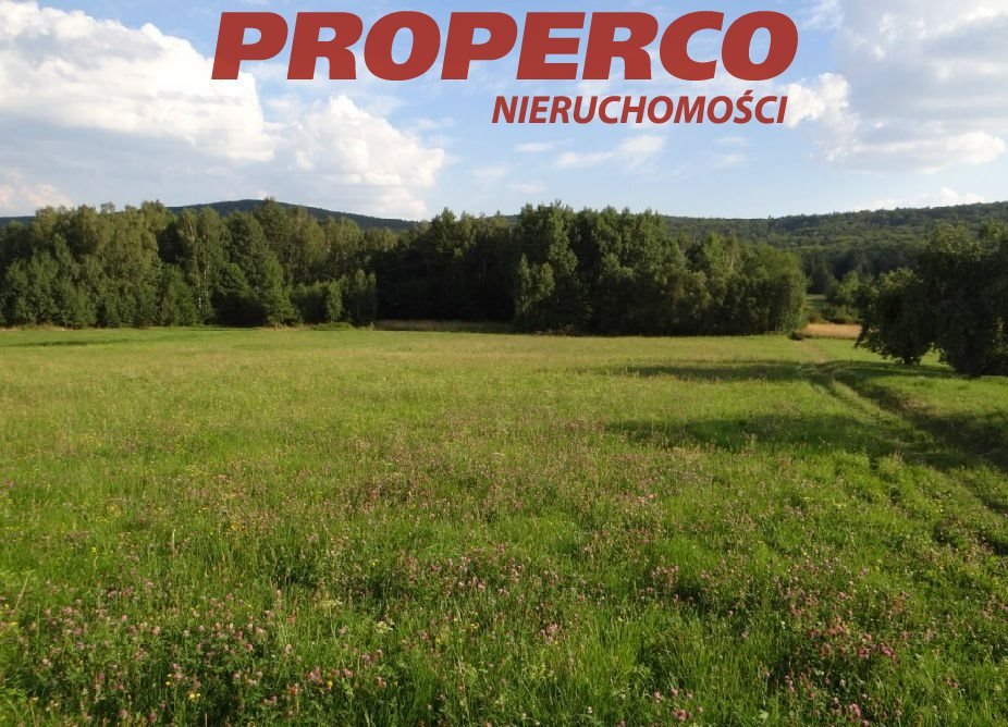 Sprzedam dużą działkę 35 500 m² z lasami i zabudową zagrodową Zagórze  35 500m2 Foto 1