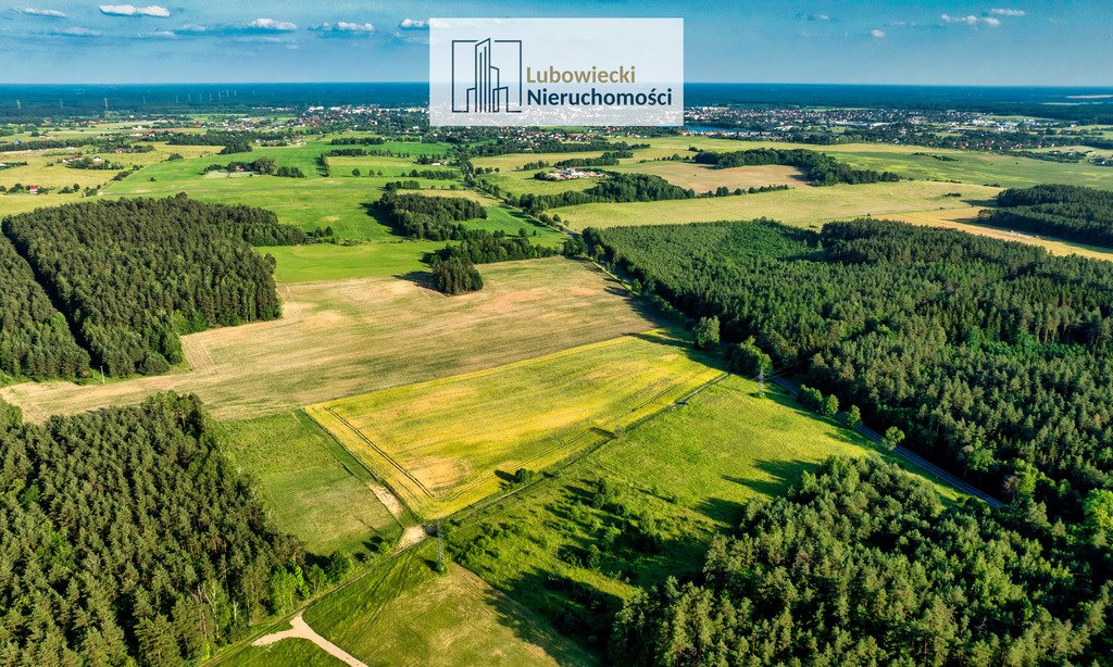 Działka budowlana na sprzedaż Dębówko  3 000m2 Foto 11