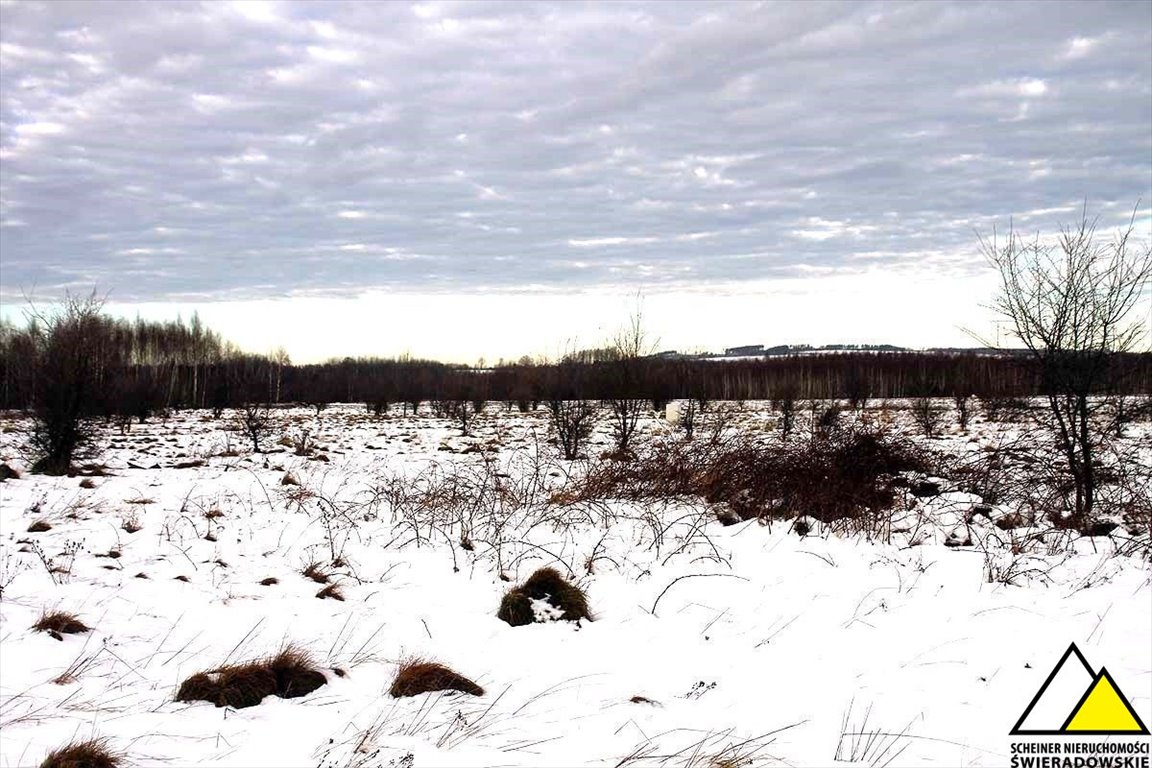 Działka budowlana na sprzedaż Orłowice, Orłowice  2 700m2 Foto 3