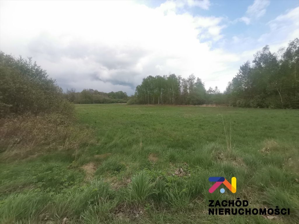 Działka rolna 1,25 ha przy drodze asfaltowej w Piaskach Piaski  12 500m2 Foto 1