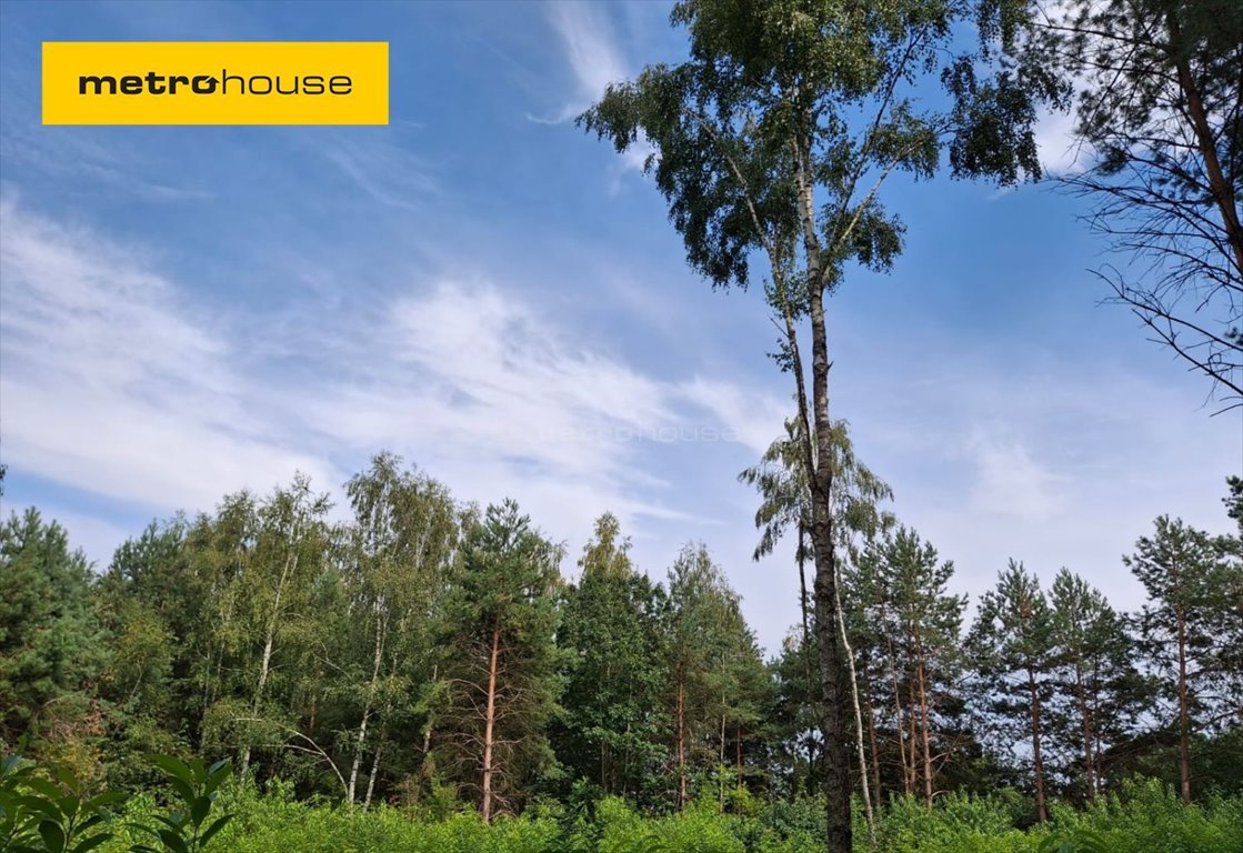 Działka inna na sprzedaż Chinów  2 194m2 Foto 1