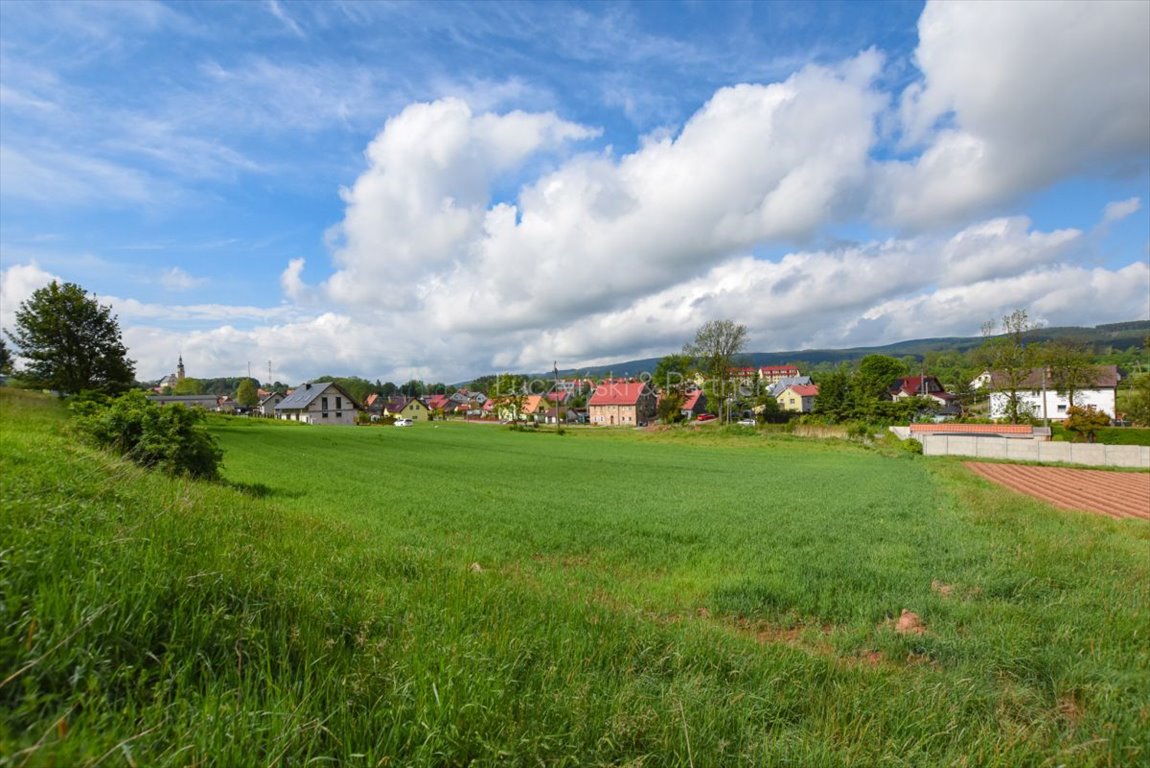 Działka budowlana na sprzedaż Olszyny  2 900m2 Foto 5