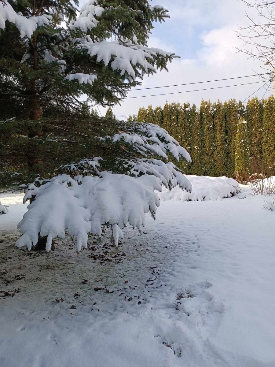 Działka przemysłowo-handlowa na sprzedaż Zaścianki  836m2 Foto 2